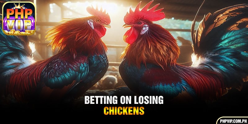 Betting on losing chickens