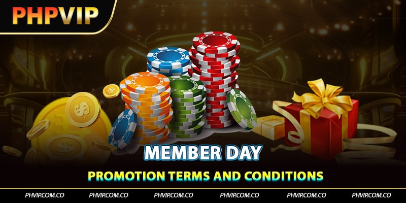 Promotion terms and conditions