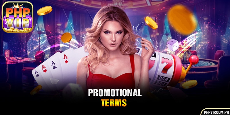 Promotional terms 