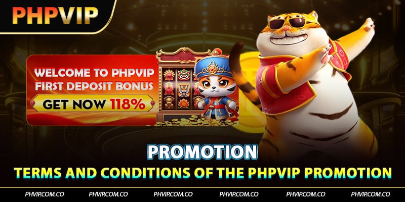 Terms and conditions of the PHPVIP promotion