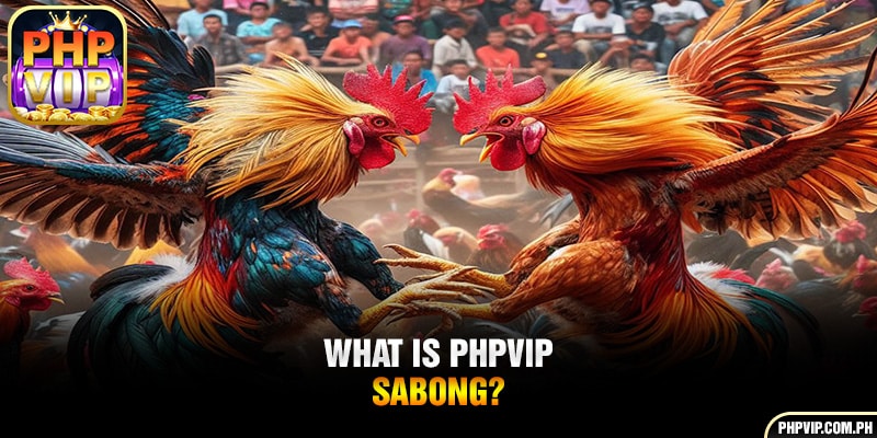 What is PHPVIP sabong?