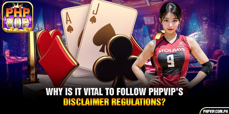 Why is it vital to follow PHPVIP's disclaimer regulations?